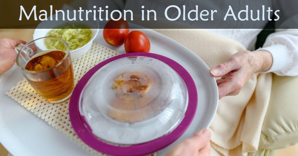 Dinner plate with text "Malnutrition in Older Adults"